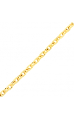 HERMAS GOLD CHAIN product image